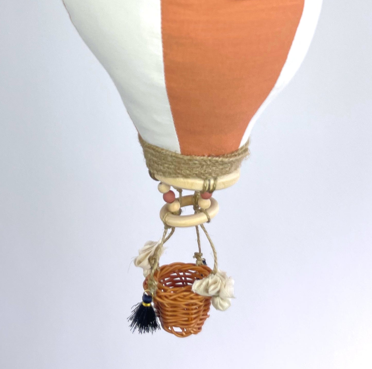 Salmon Ballon